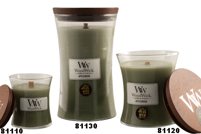 DW HOME THE SUTTON LODGE WOODEN WICK SCENTED CANDLE WOODLAND MOSS 9 OZ 