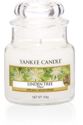 Linden Tree - Yankee Candle Classic Small
